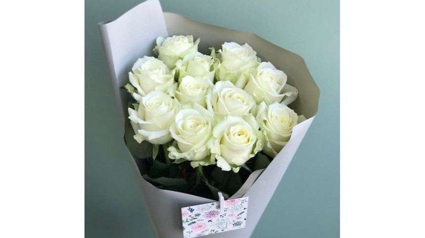 White Roses N2