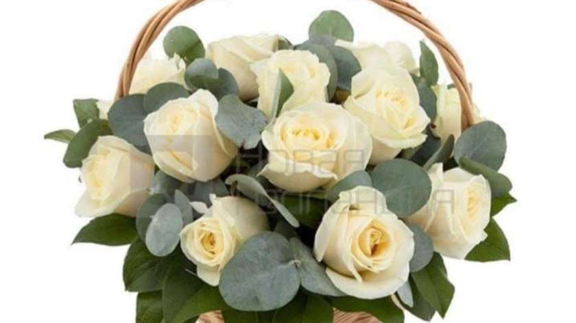 White Roses N3