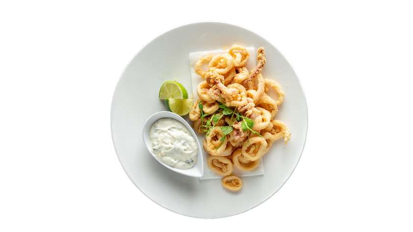 Fried Calamari