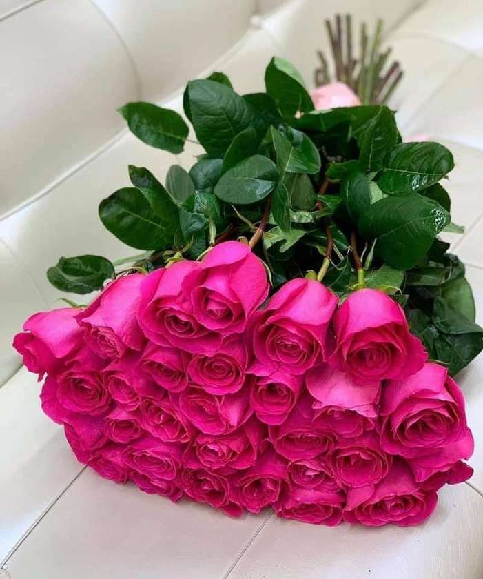 Pink Rose 50cm - 9pcs