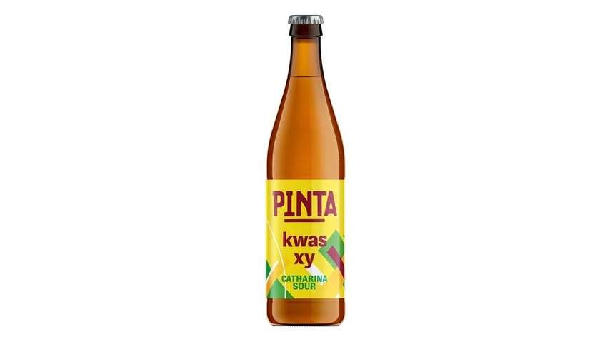 Pinta  Kwas Xy 0,5L b/bzw