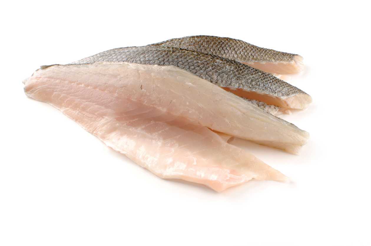 Sea Bass Fillet