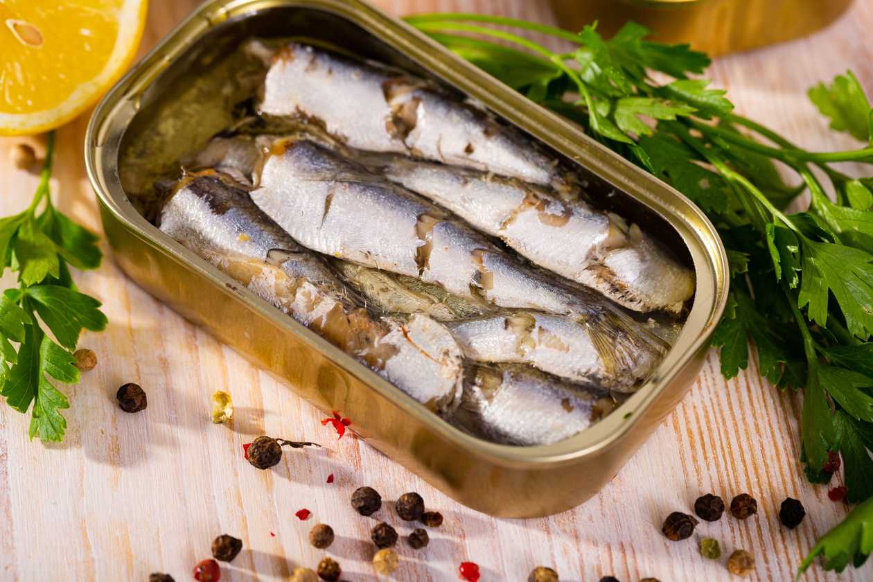 Sardines