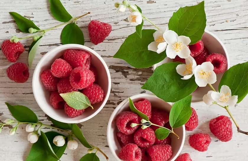 Jasmine Raspberry 23000 puff