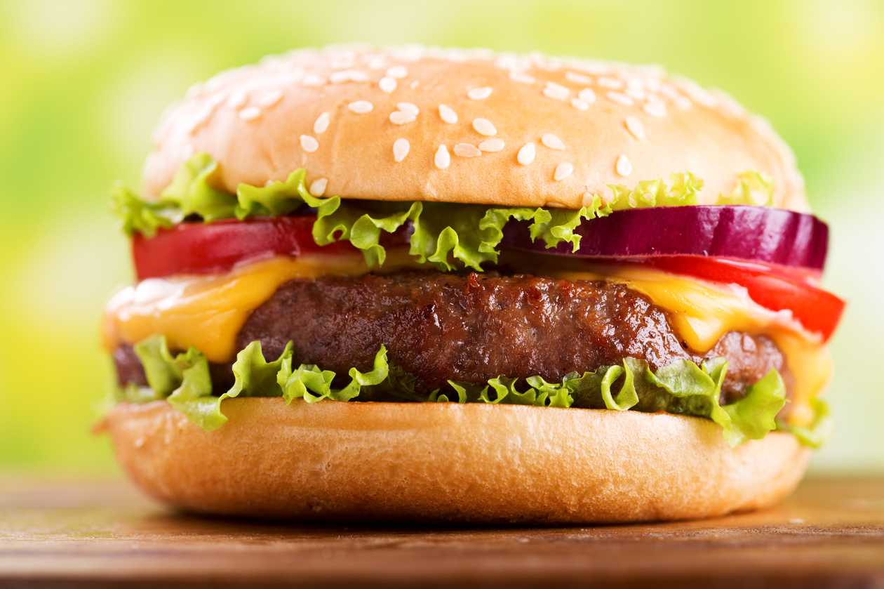 Hamburger Pui