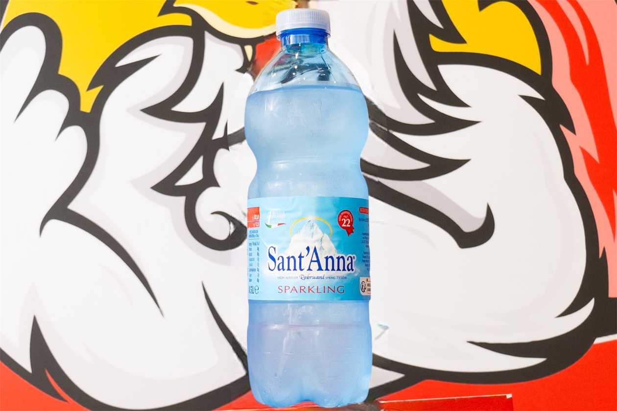 Sant'Anna Sparkling Water