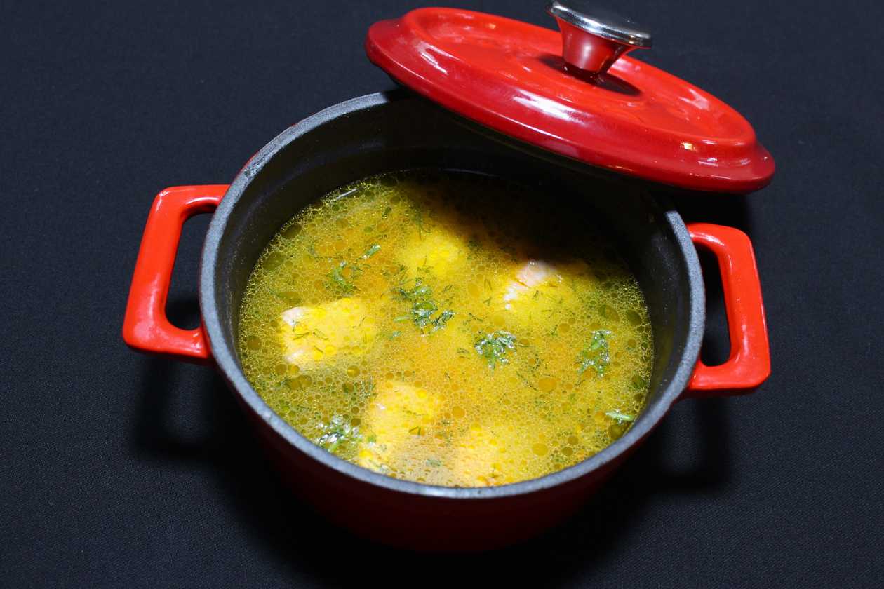 Salmon Soup