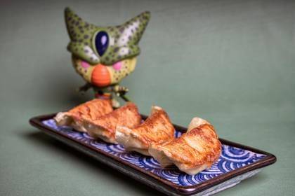Vegetable Gyoza-A5