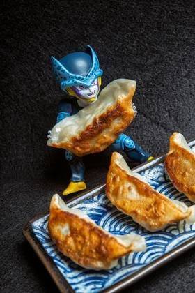 Chicken Gyoza-A4