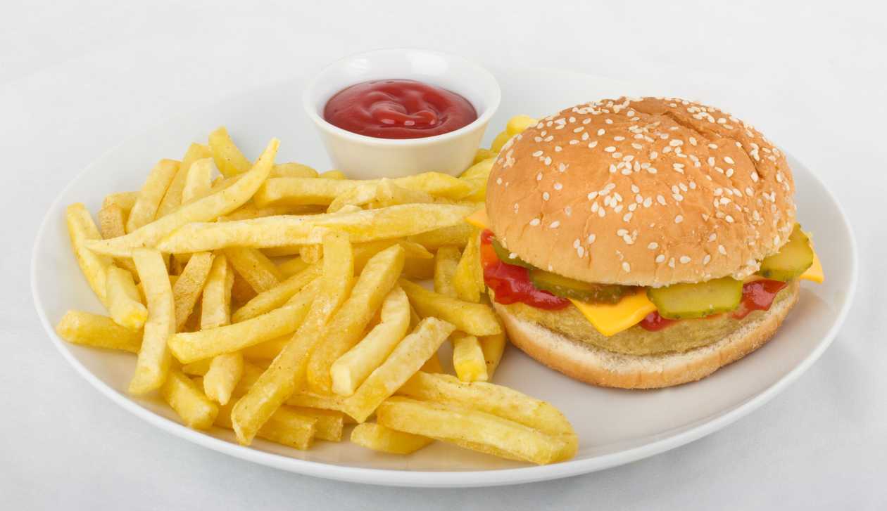 Chicken Burger