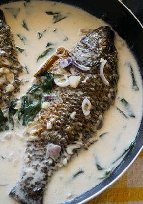 Tilapia in Coconut Cream