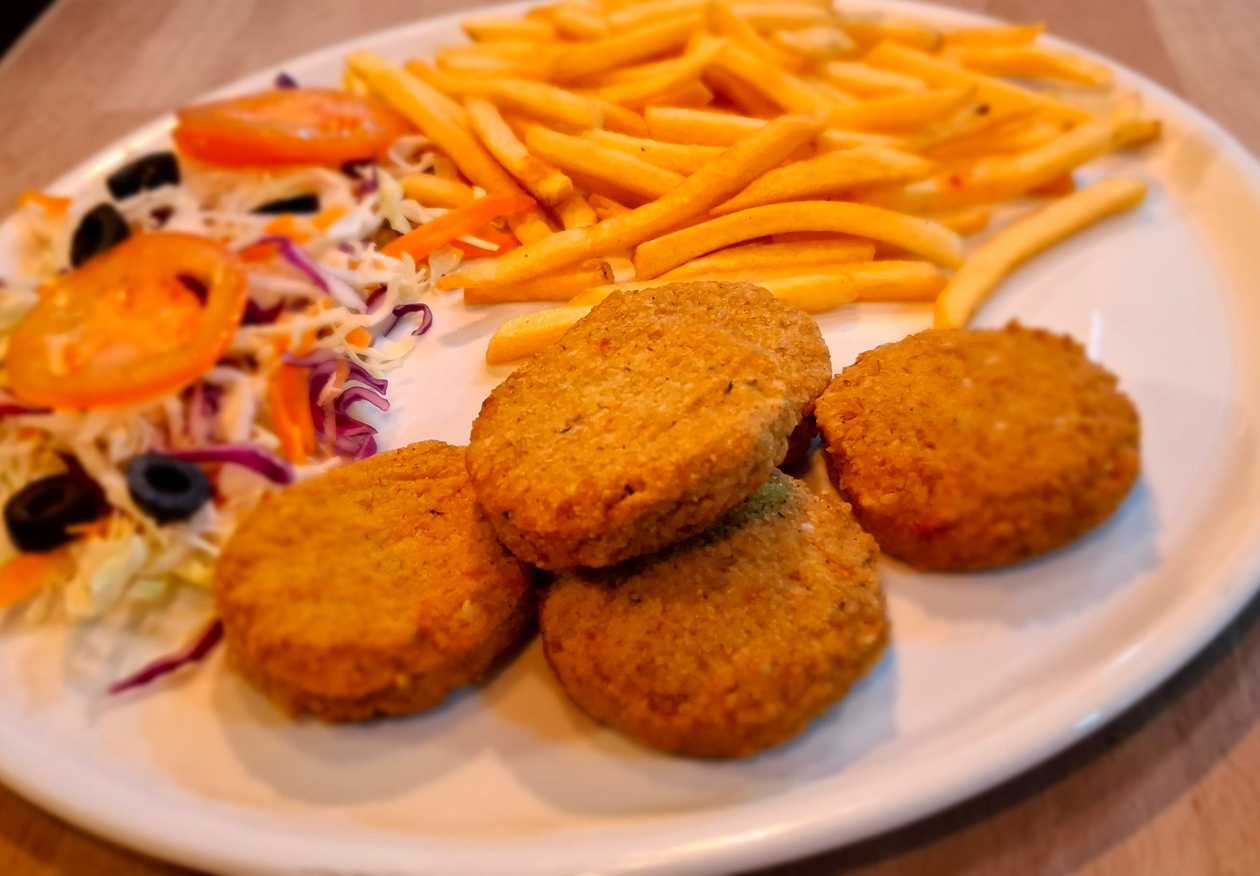 Falafel Prato Simples