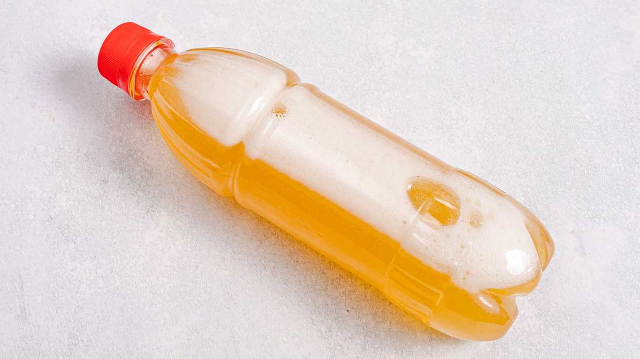 Səlyan Sadə 1 lt