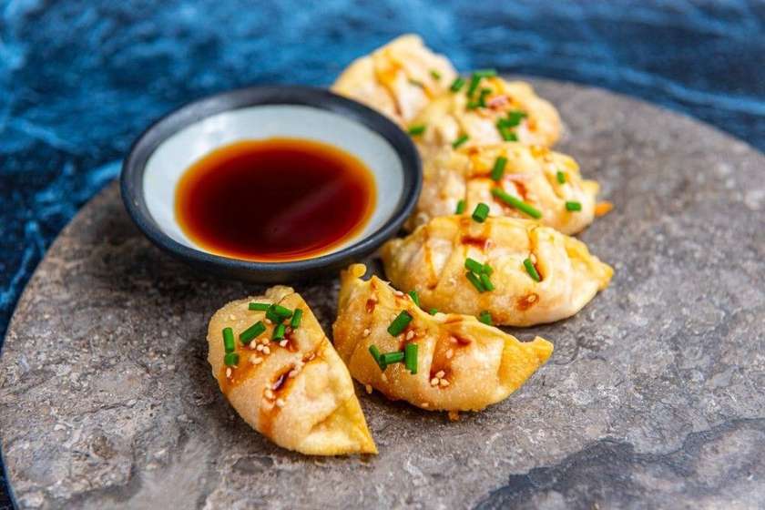 Gyoza sealiha ja köögiviljadega