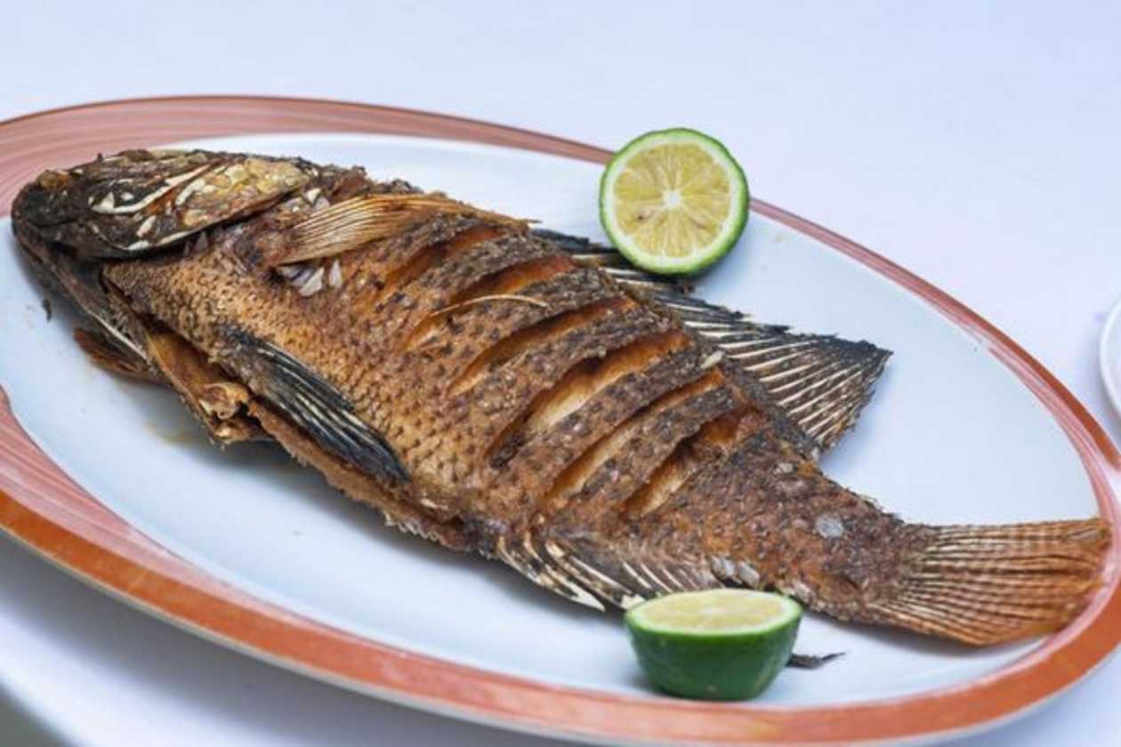 Fried Fish