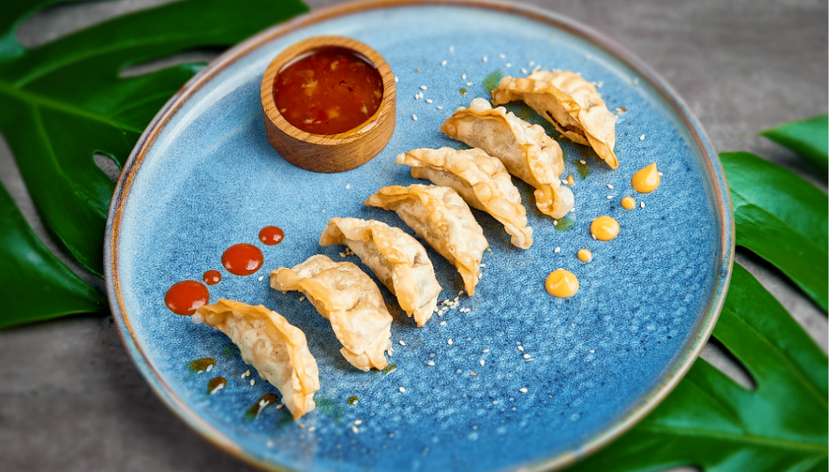 Japanese dumplings (chicken & vegetables)