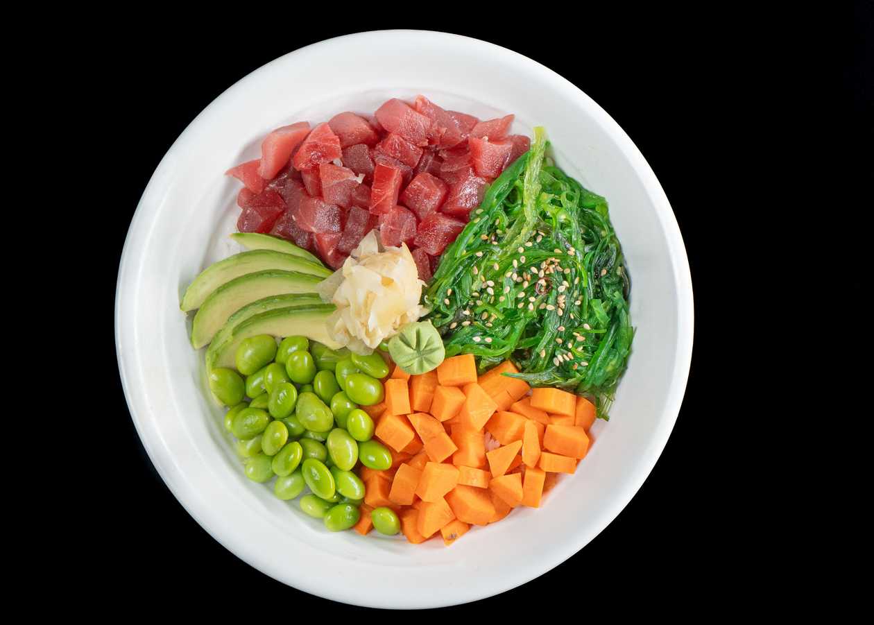 0089 Japanese Salmon Bowl