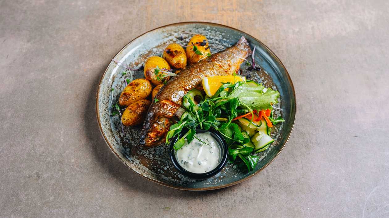 Grilled trout