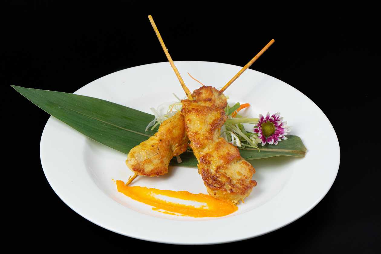 0062 Thai Chicken Satay Skewers Plate