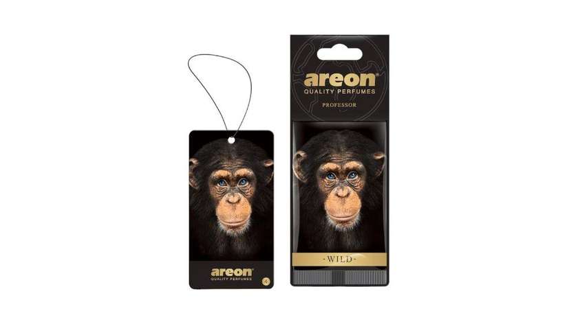 Areon Professor (Sadə)