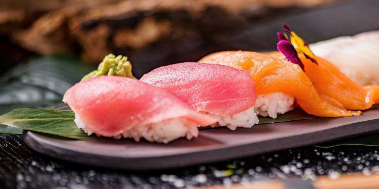Maguro tuna nigiri