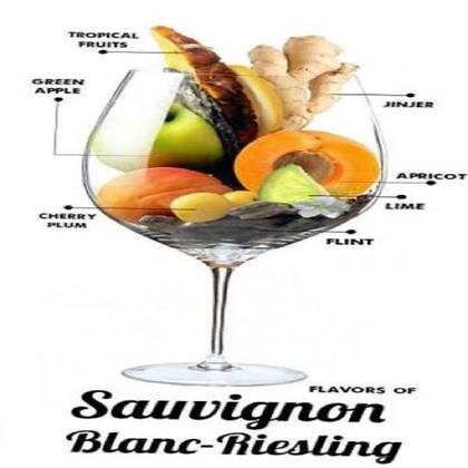 Sauvignon Blanc Riesling Wine (500 ml)