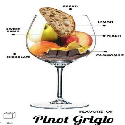 Pinot Grigio Wine (500 ml.)
