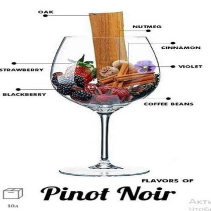 Pinot Noir Wine (500 ml)