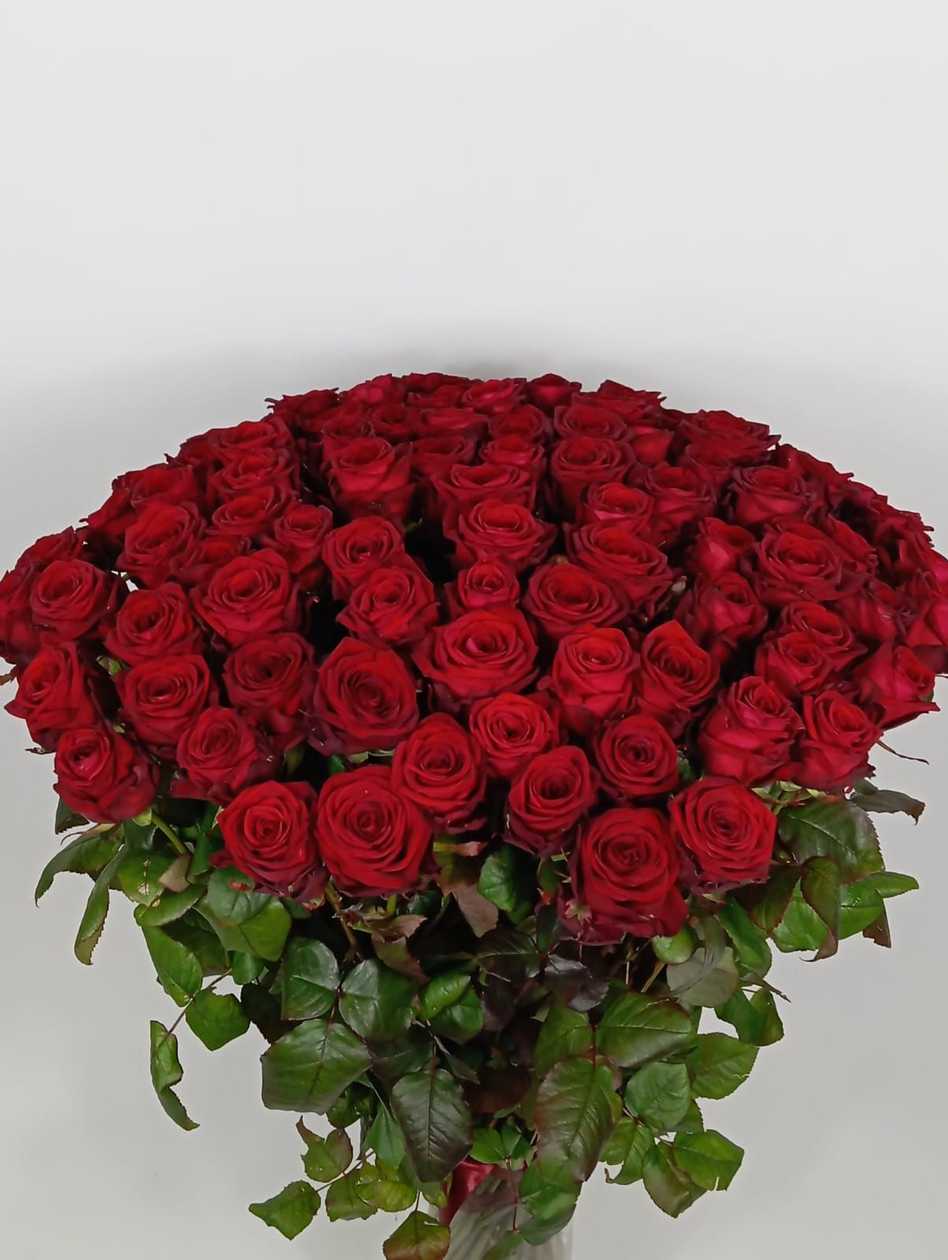 Red Naomi rose, 1 pc.