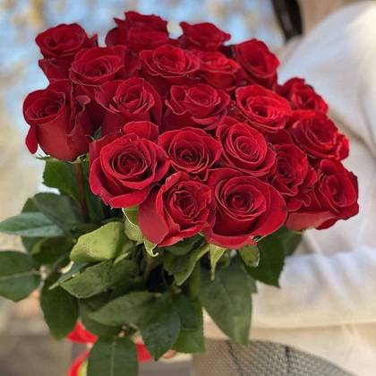 Red  rose 70 cm, 25pcs