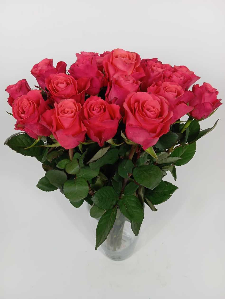 Light pink rose, 1 pc.