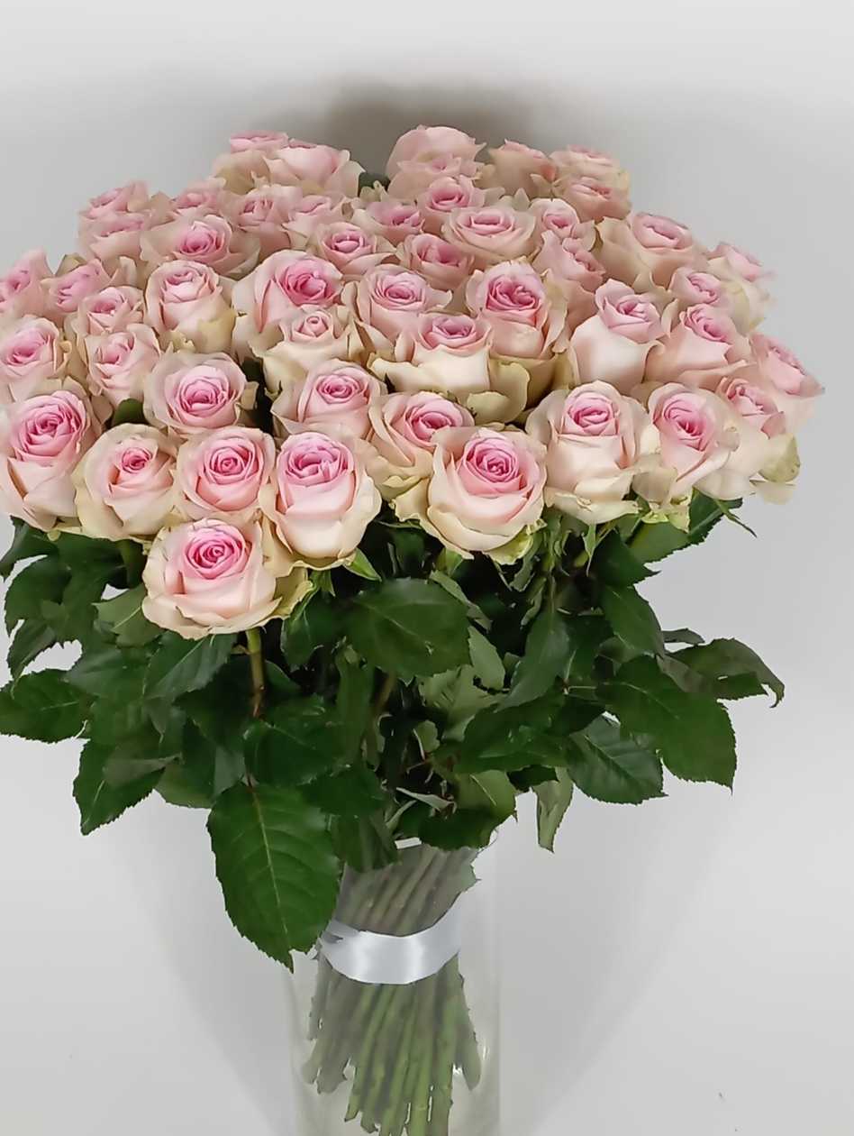 Light pink rose, 1 pc.