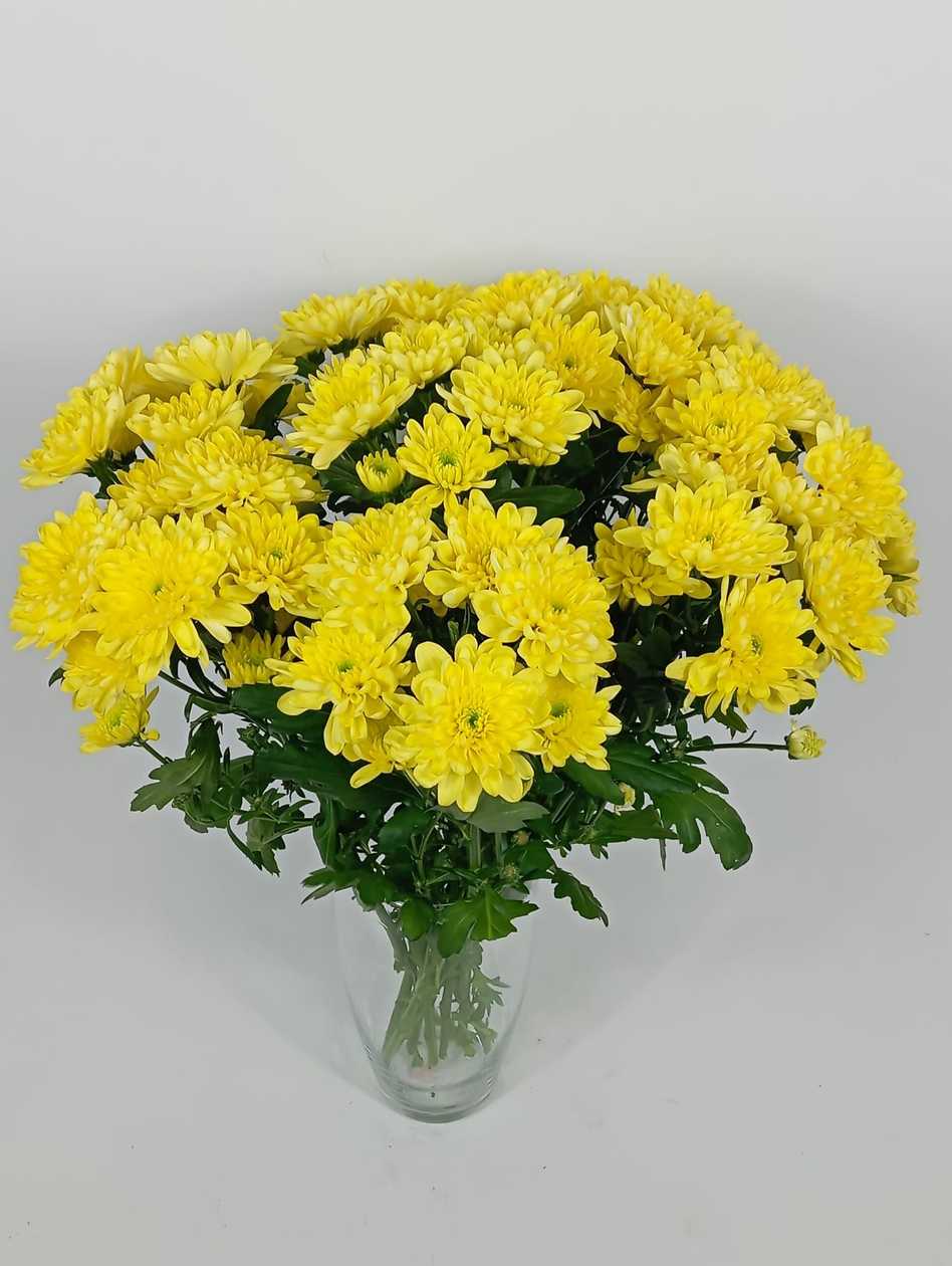 Yellow chrysanthemum, 1 pc.