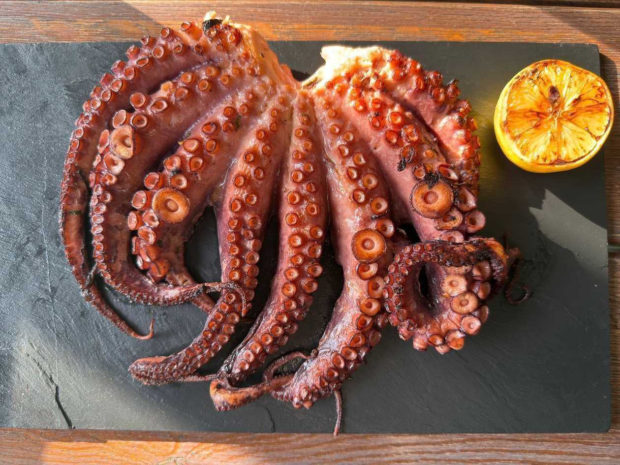 Caracatiță întreagă Senegal