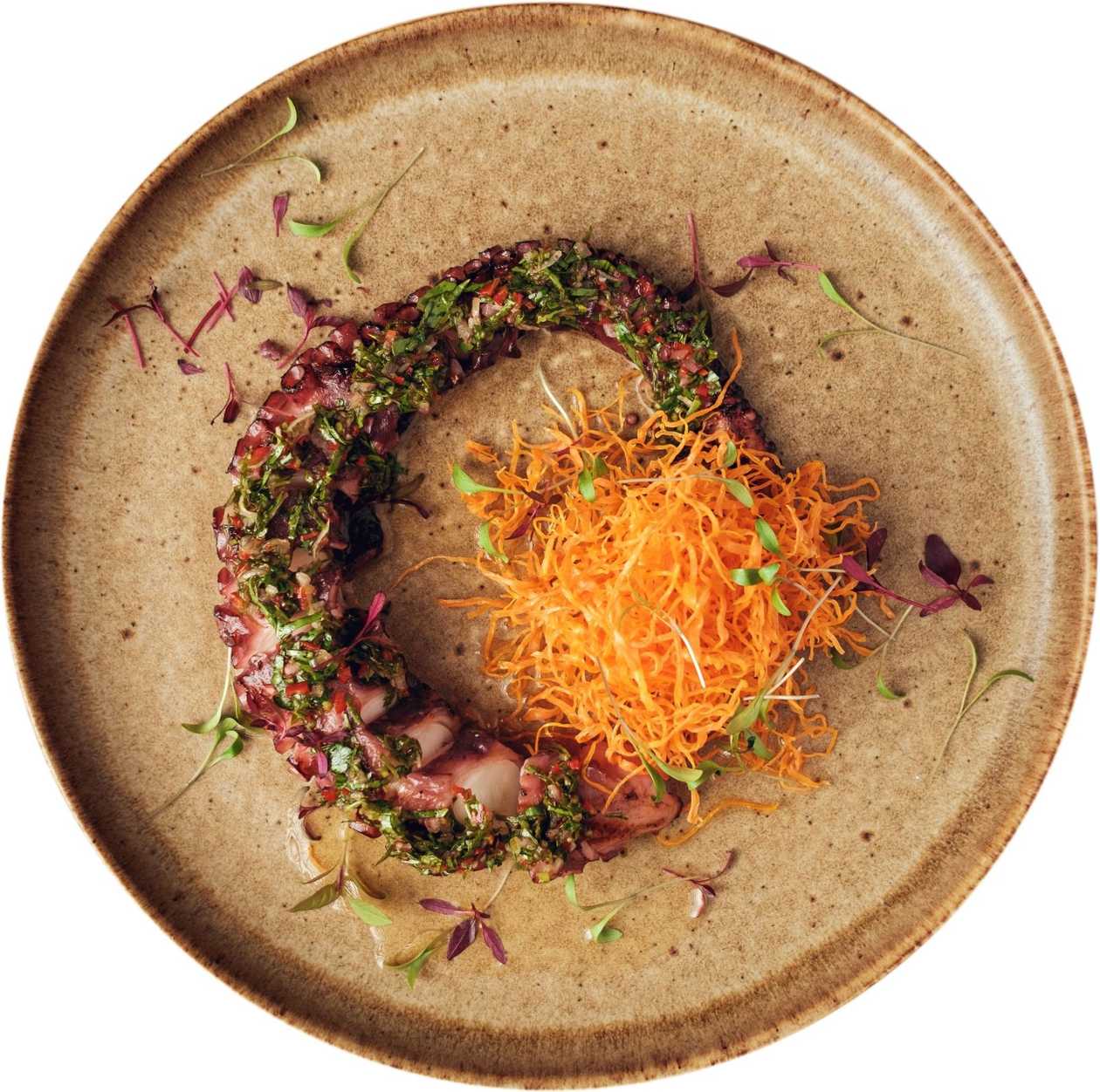 Grilled Octopus with chimichurri sauce
