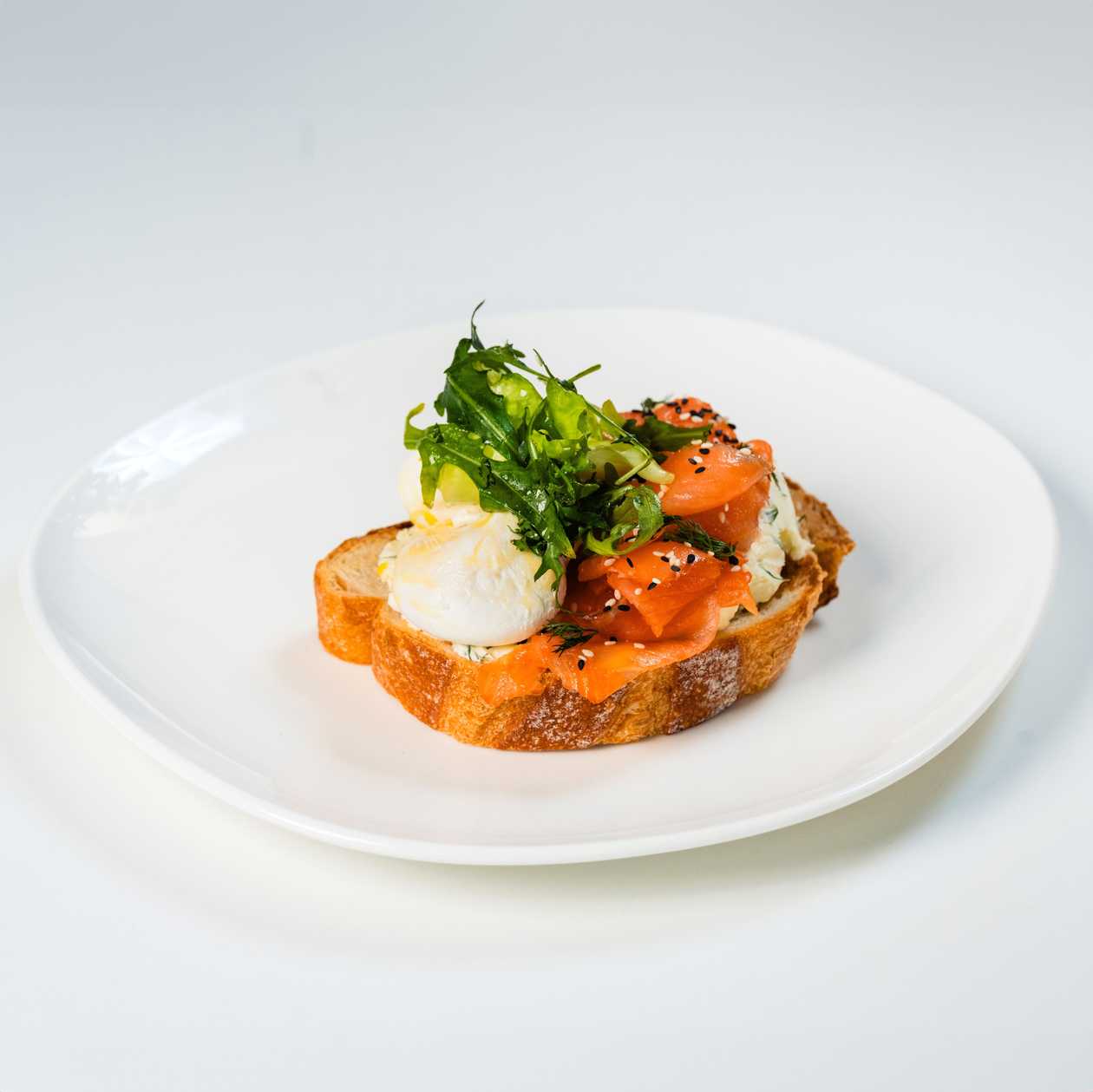 Salmon and Egg