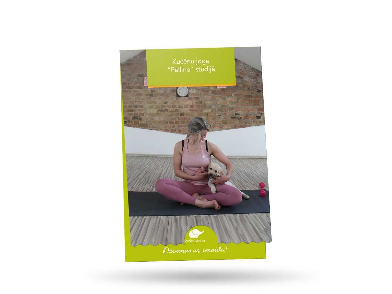 Puppy yoga in “Felline” studio