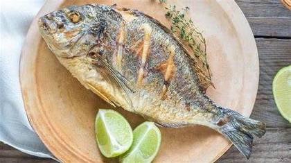 Gilthead Bream