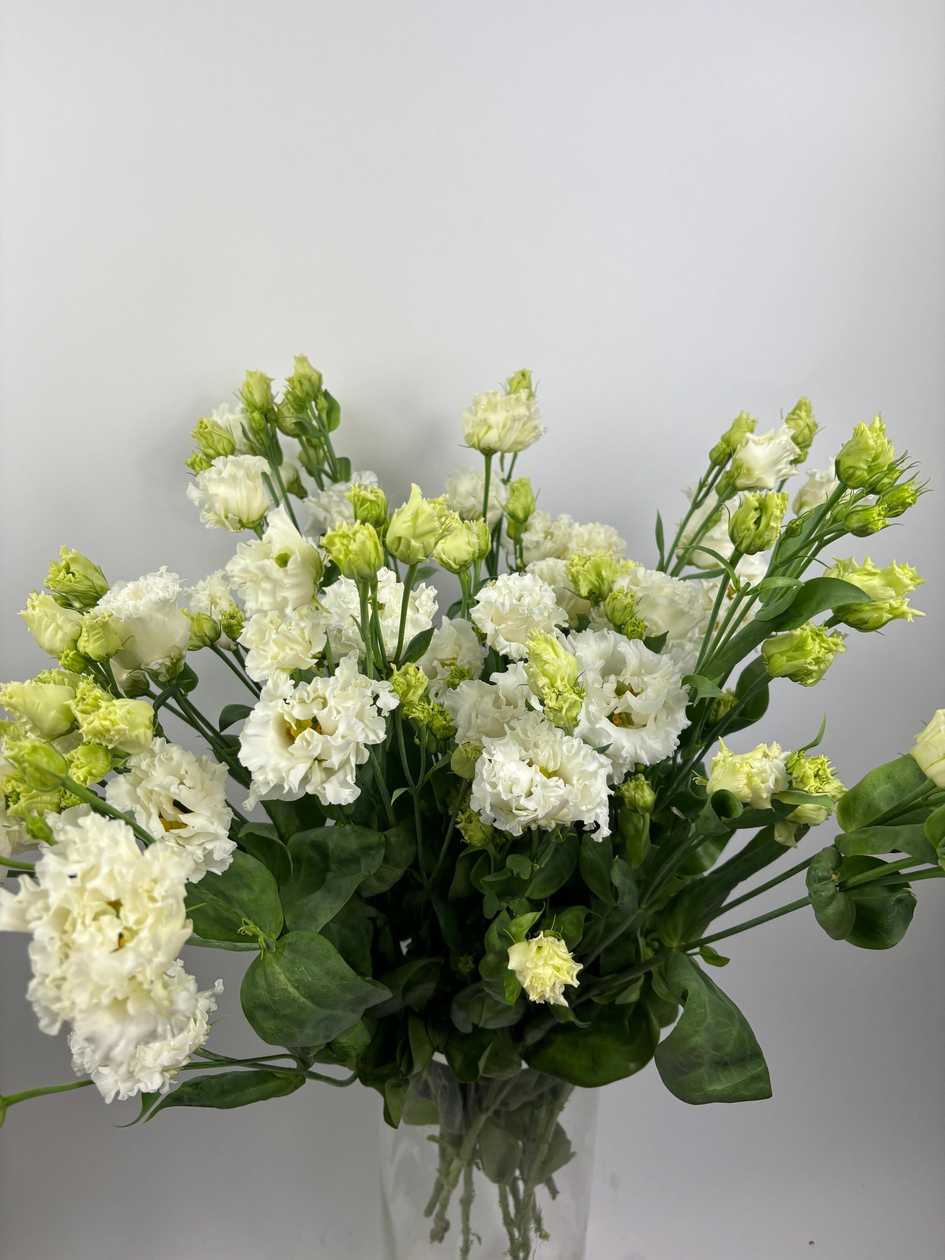 Curly White Lisianthus