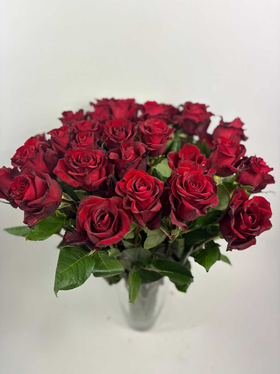 Eve Red Roses