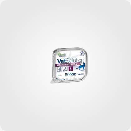 Monge Cat Wetsolution Gastrointestinal 100G