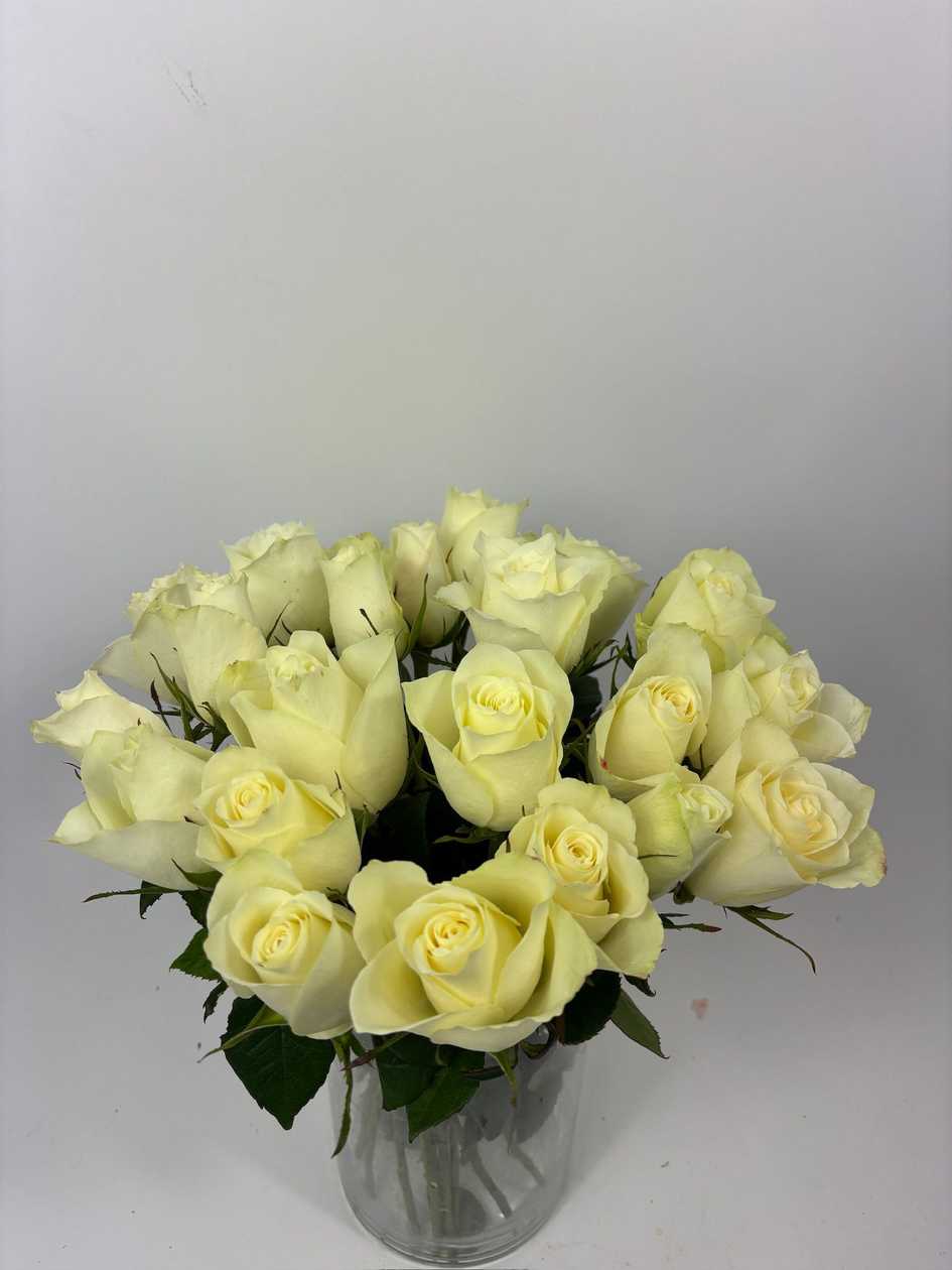 Albatraus Roses