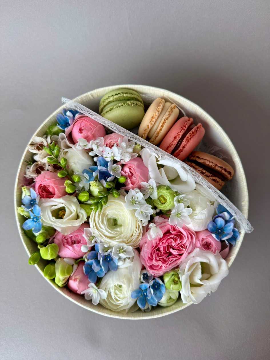 Macaroon Composition