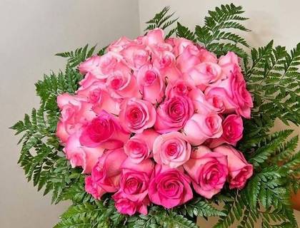 Rosas In