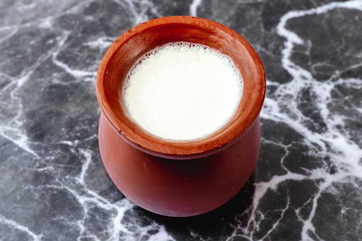 Plain Yogurt