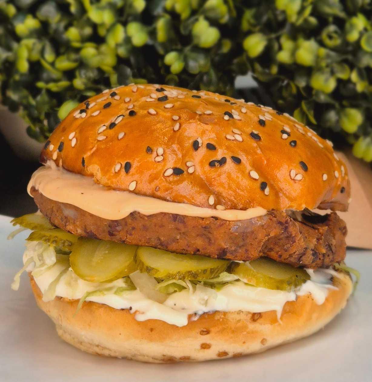 Vegan Burger
