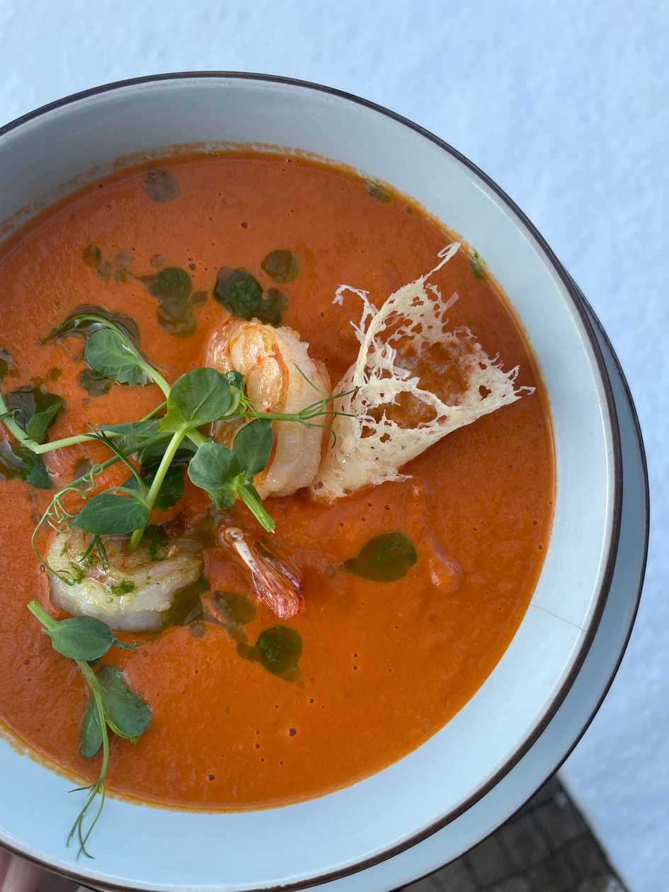 tomato cream soup