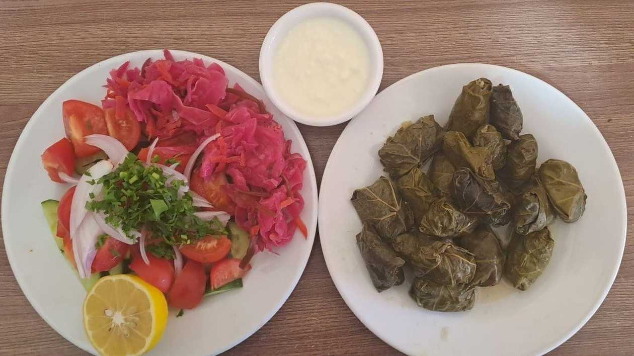 Stuffed Grape Leaves + Salad