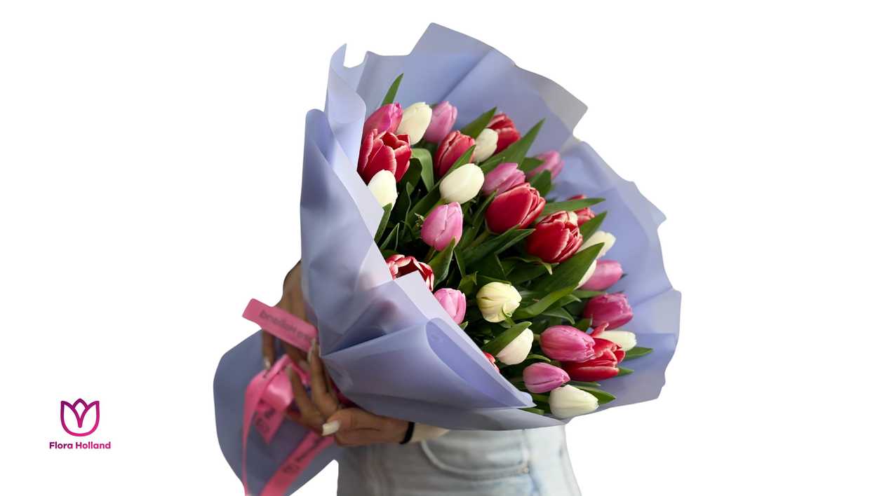 31 Tulip Mix