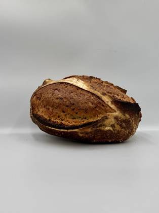 Rustique Graines